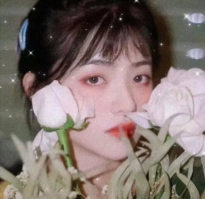 沉默的荣耀